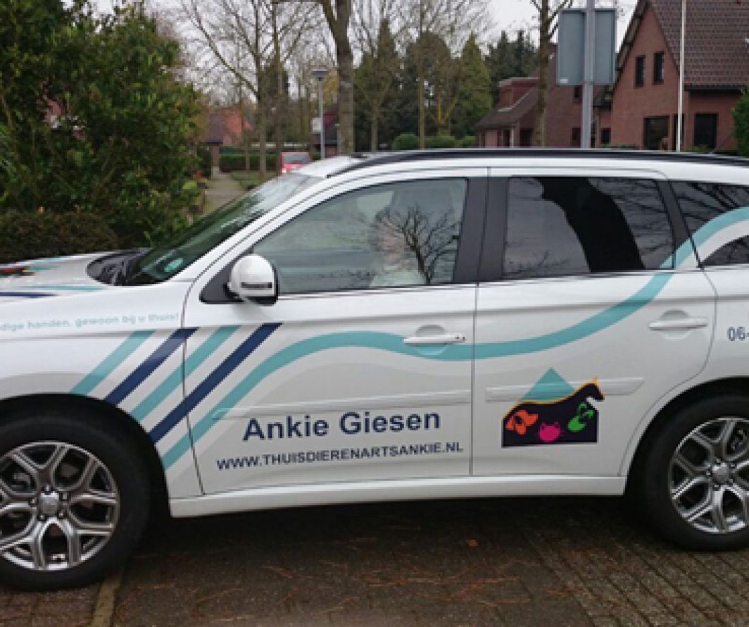 Voorbeeld 4 uit het Mitsubishi-portfolio van Autobelettering.nl