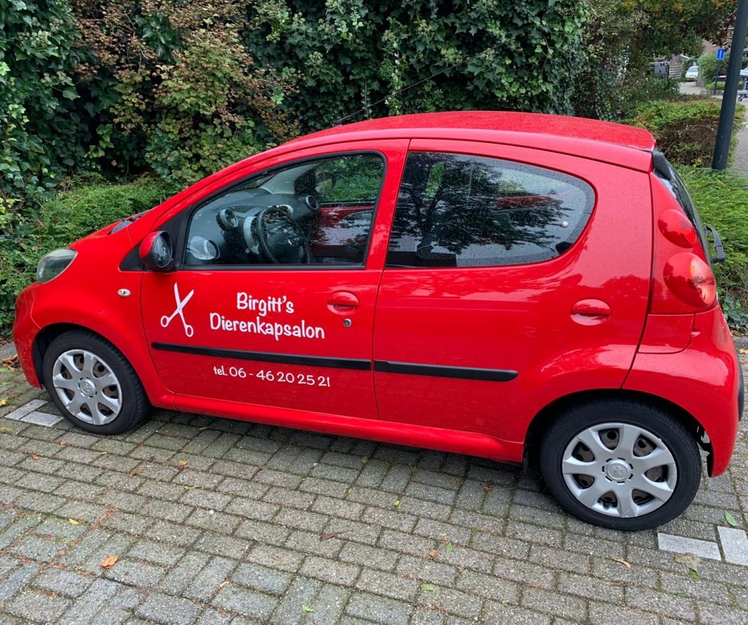 Voorbeeld van Peugeot-belettering uit het portfolio van Autobelettering.nl
