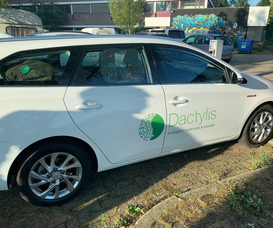 Voorbeeld van Toyota-belettering uit het portfolio van Autobelettering.nl